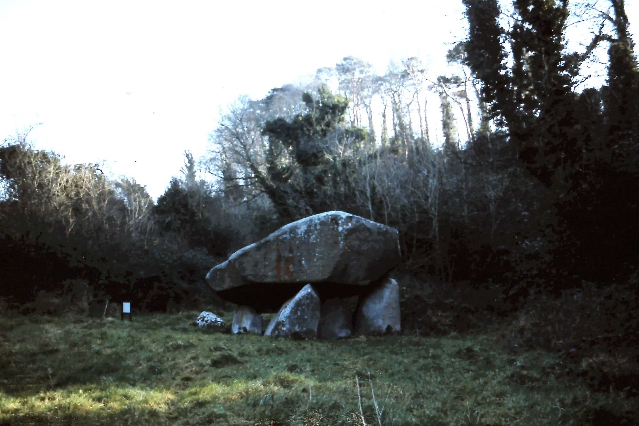 Brennanstown_-_Portal_Tomb